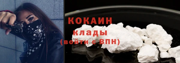 бошки Новодвинск
