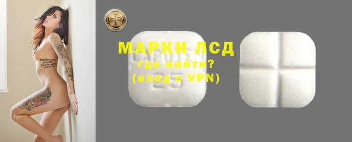молекула духа Новокубанск
