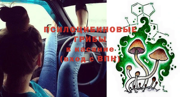марки lsd Новозыбков