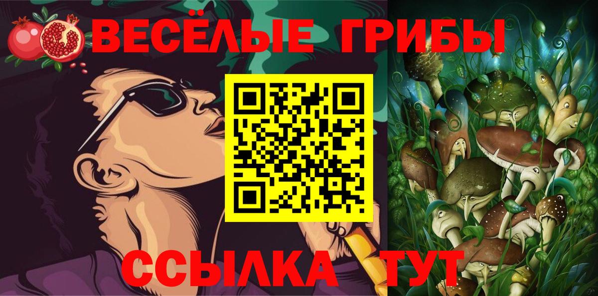 Лесозаводск  Галлюциногенные грибы прущие грибы  Галлюциногенные грибы Psilocybine cubensis  Вход с VPN 