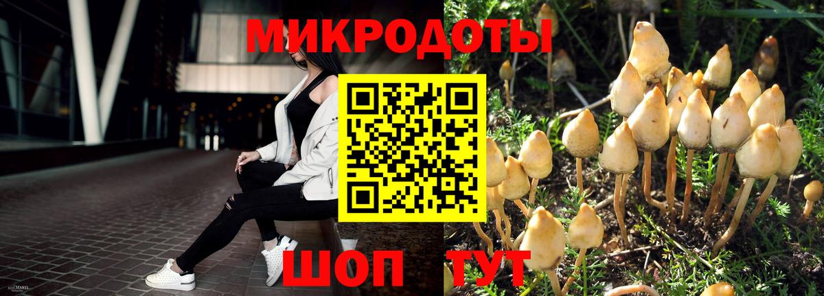 Галлюциногенные грибы мухоморы Лесозаводск