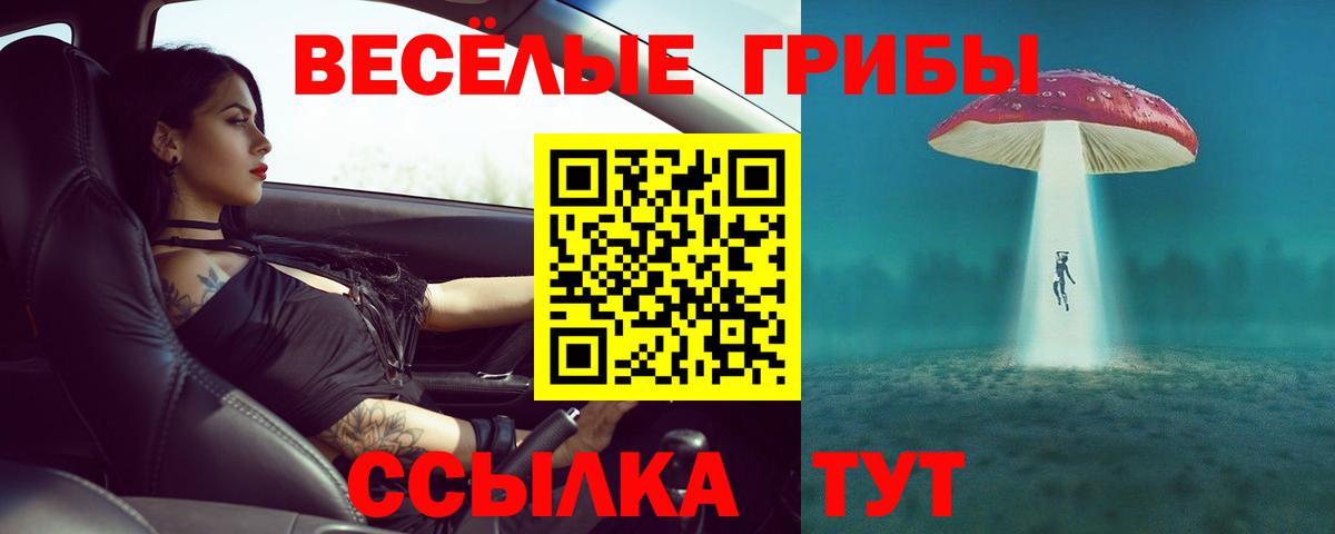 ГАШ Лесозаводск